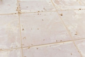Floor tiles